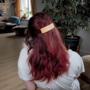 Rectangular automatic hair clip
