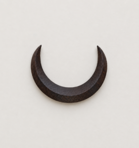 Moon Hairpin in Bog Oak